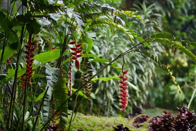 Goa Family Fun Vacation - Image 2