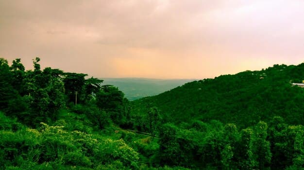 Wayanad Nature Retreat