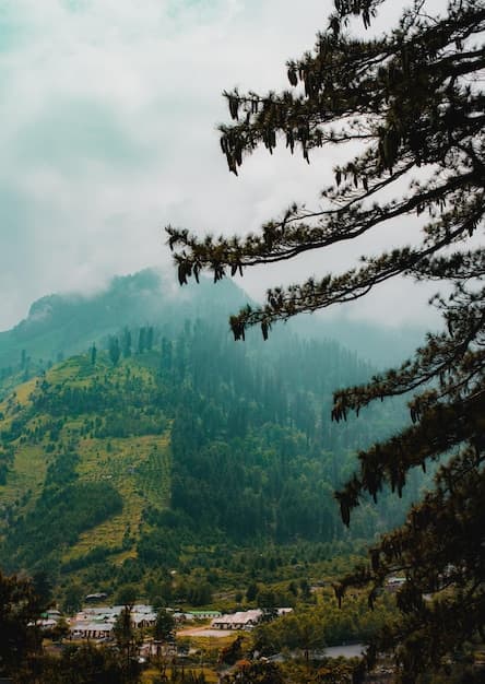 Munnar Romantic Escape - Image 3