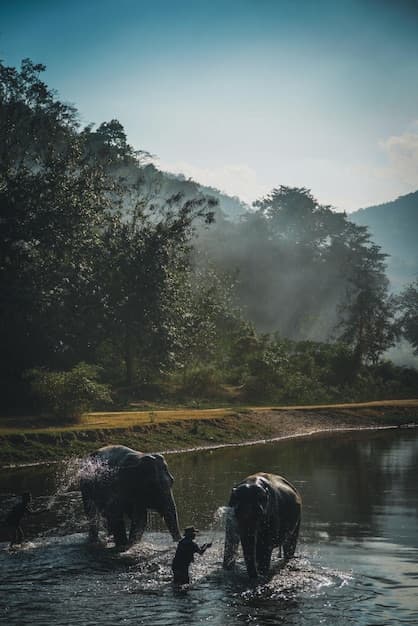 Kerala Family Fun Package