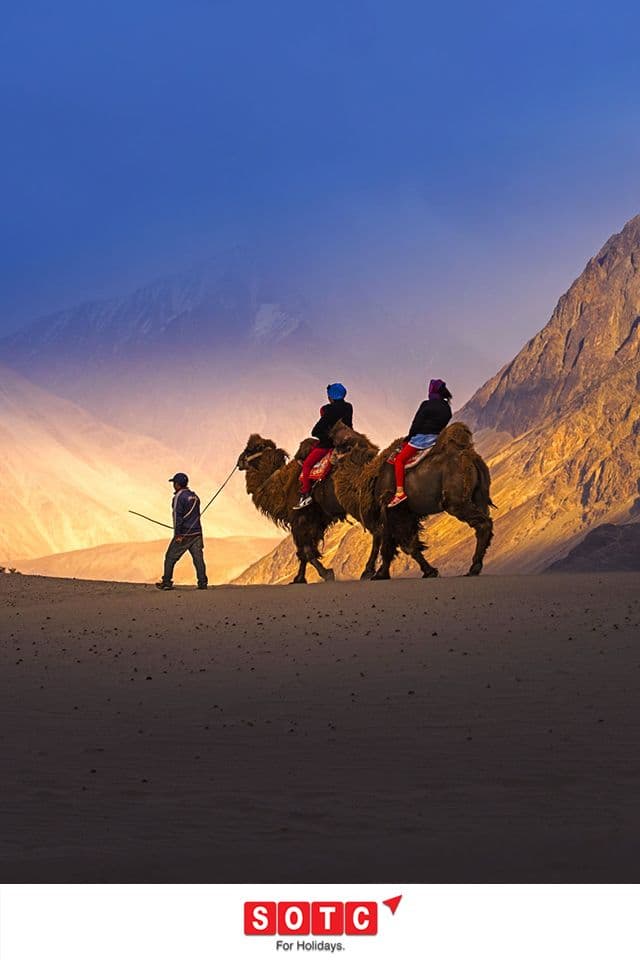Camel Safari (Double-Humped Bactrian Camel Ride) - Image 3