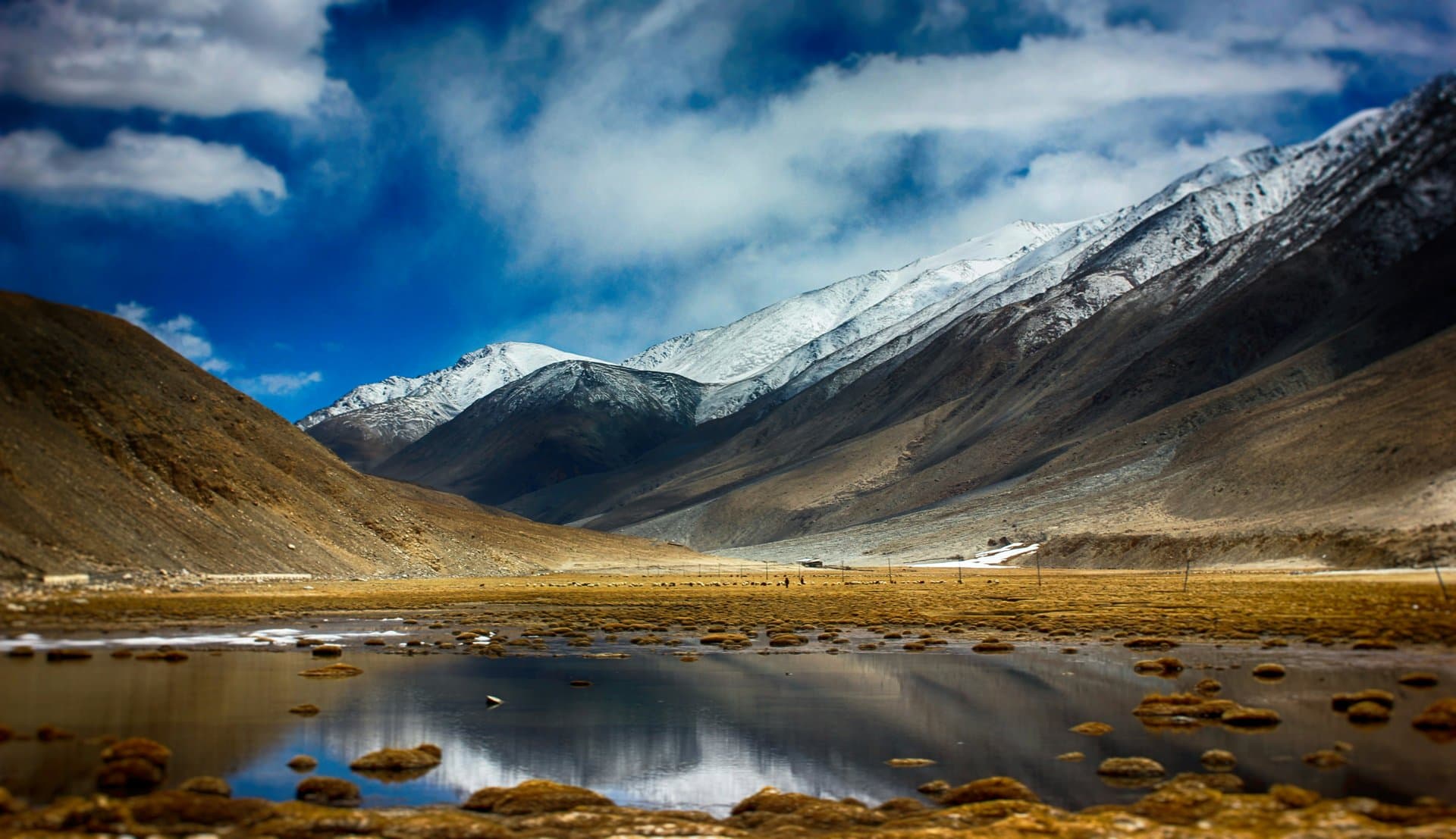 How to Explore Changthang Region: Complete Travel Guide for an Offbeat Ladakh Adventure (2026)