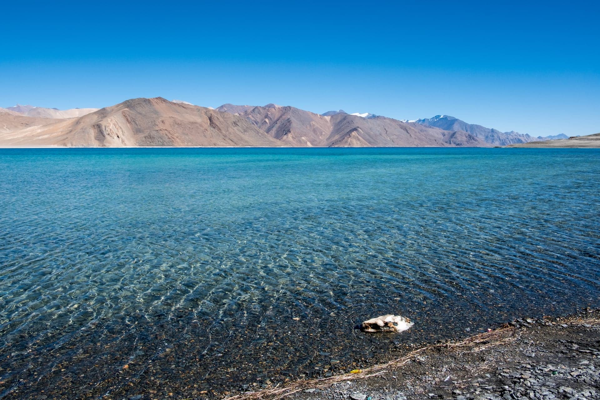 When Is Pangong Lake Accessible? A Complete Travel Guide (2026)